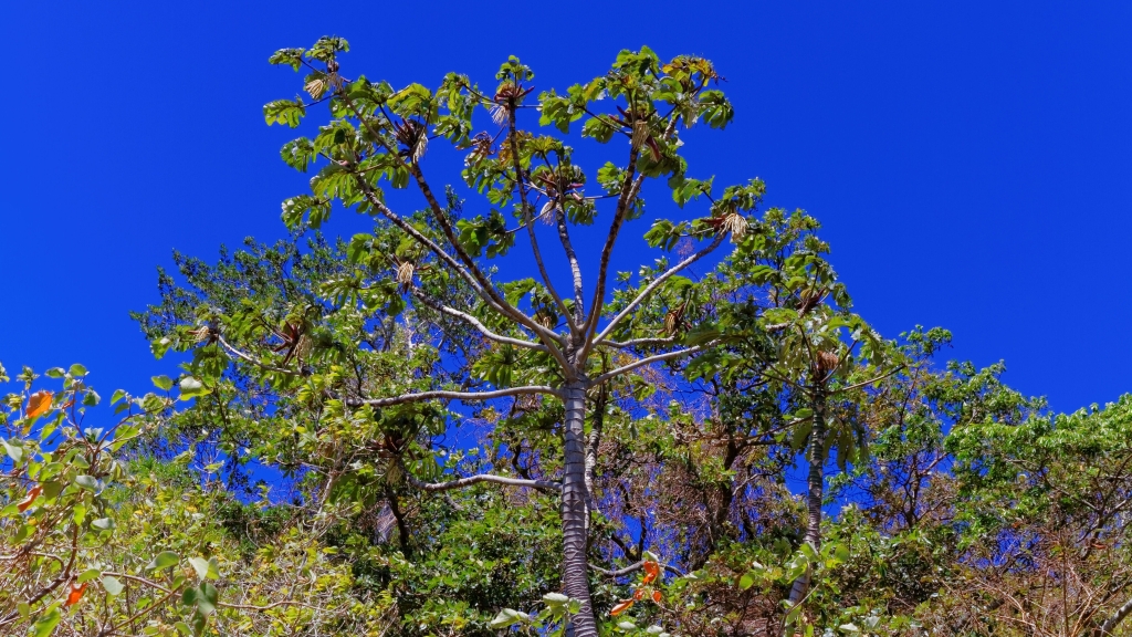 07 - Monterverde (13).jpg